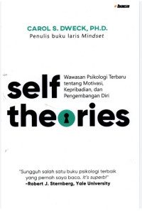 Image of Self Theories