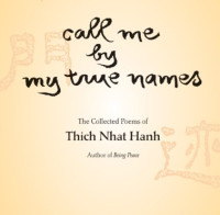 Image of Call Me By My True Names